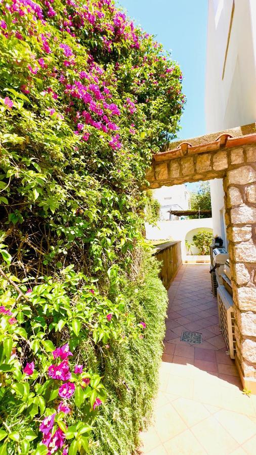 Villa La Zagara By Caprirooms エクステリア 写真