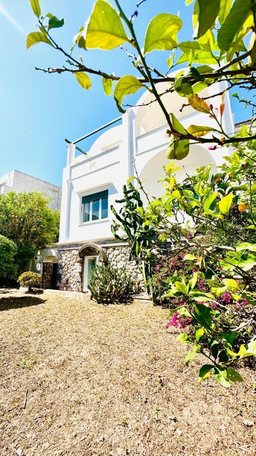 Villa La Zagara By Caprirooms エクステリア 写真