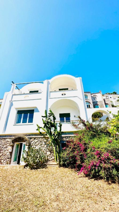 Villa La Zagara By Caprirooms エクステリア 写真